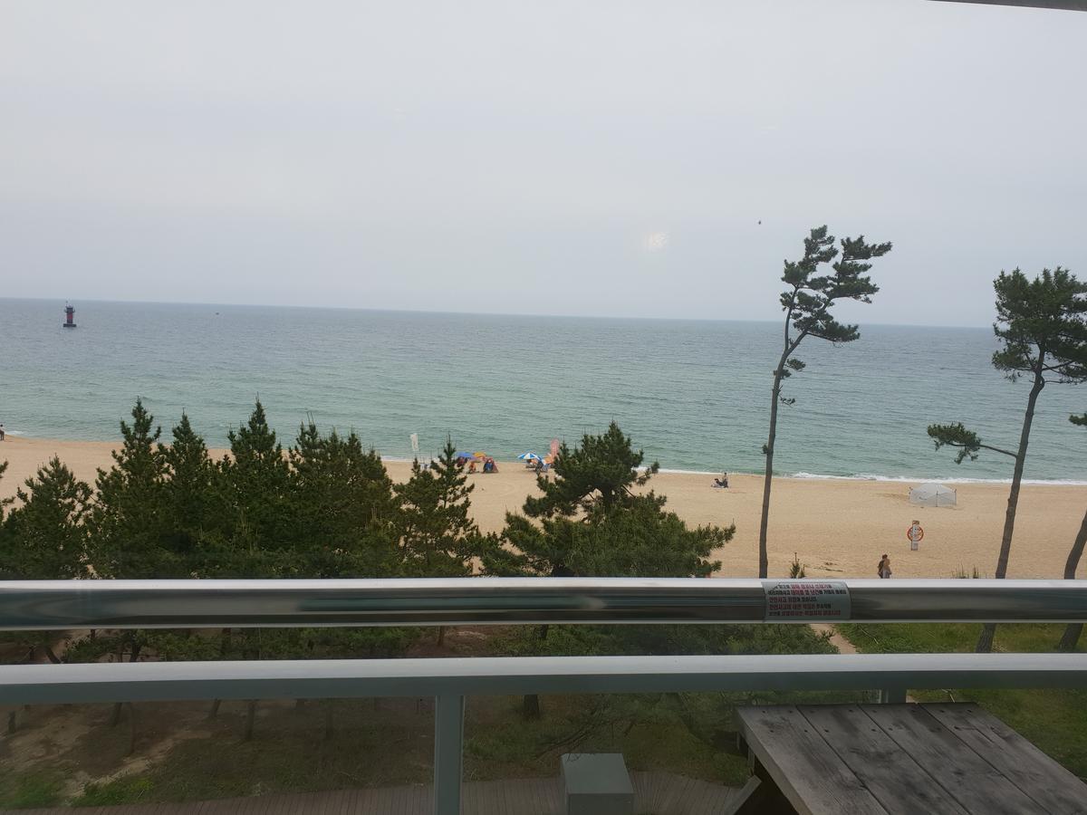 Time Motel Gangneung Luaran gambar