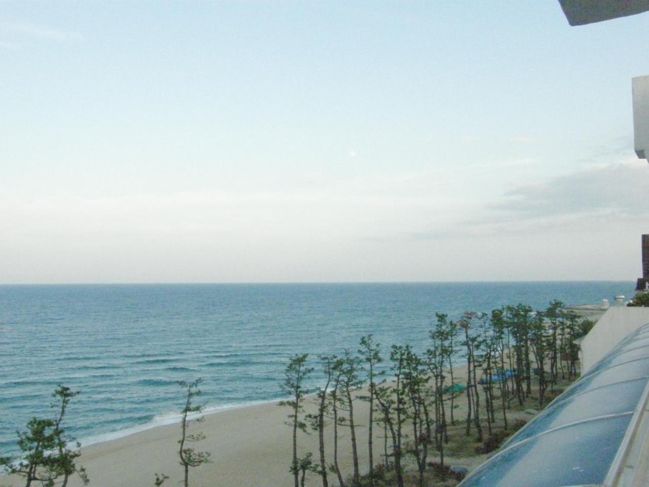 Time Motel Gangneung Luaran gambar